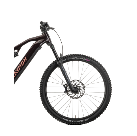 Bicicleta Electrica Raymon Full Suspension Trailray 150 Pro 2025 - 29 Inch, L, Negru - SLX [4]