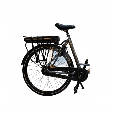 Bicicleta Electrica Stella Livorno Dama FDST RTE 2.0 - 28 Inch, L, Gri [4]