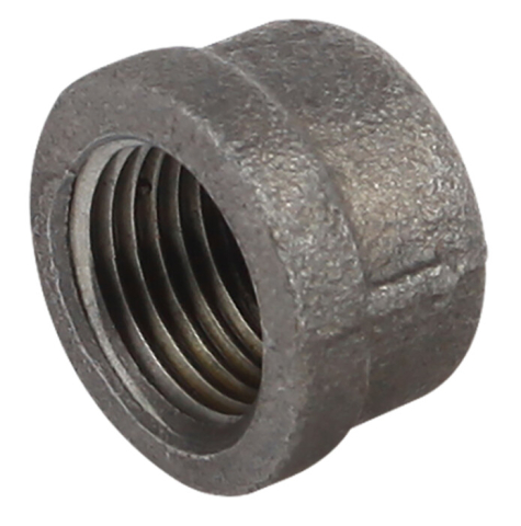 Capac Ng 300 Evo [1]