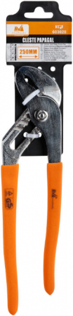 Cleste ETS Papagal + - Lungime 250 mm [1]