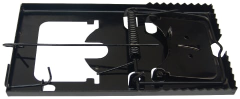 Diverse - Cursa pentru Soareci - Lungime 160 mm Latime 88 mm