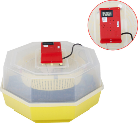 Incubatoare oua - Incubator Electric Cleo-5 cu Termohigrometru