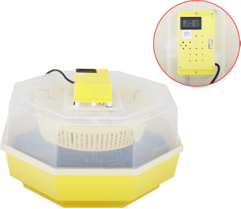 Incubatoare oua - Incubator Electric Cleo-5 cu Termohigrometru si Dispozitiv Intoarcere Oua