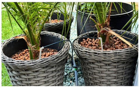 Kit 4 Brate Microtub 50 cm pentru Ciuperca Picurare [3]