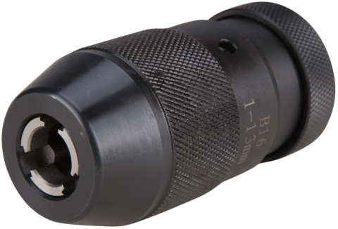 Mandrina Automata Lunga [8]