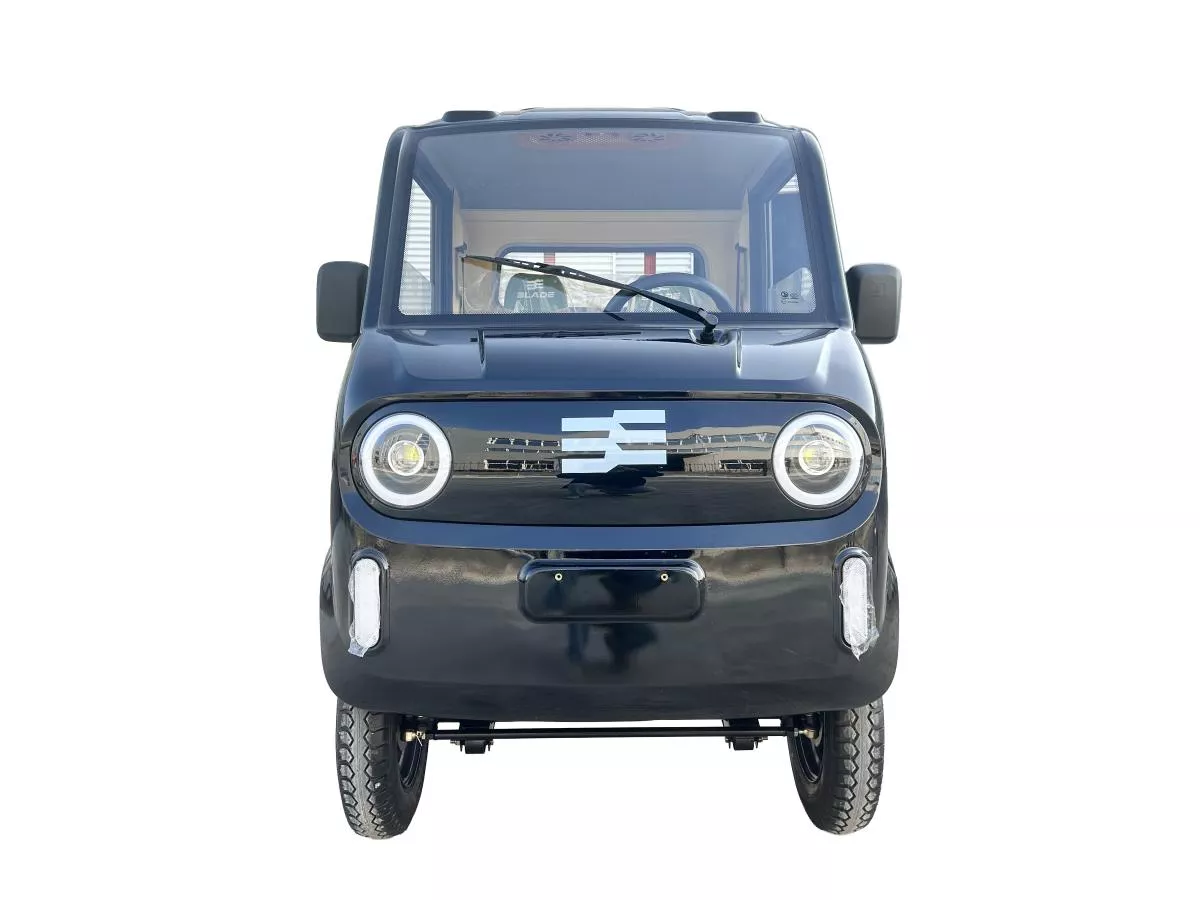 Camioneta/Masinuta/Triciclu/Cvadriciclu PICKUP CARGO 3000, putere maxima 4900W, autonomie: 100 km, viteza maxima: 25 km/h - CARGO PRO 12 [1]
