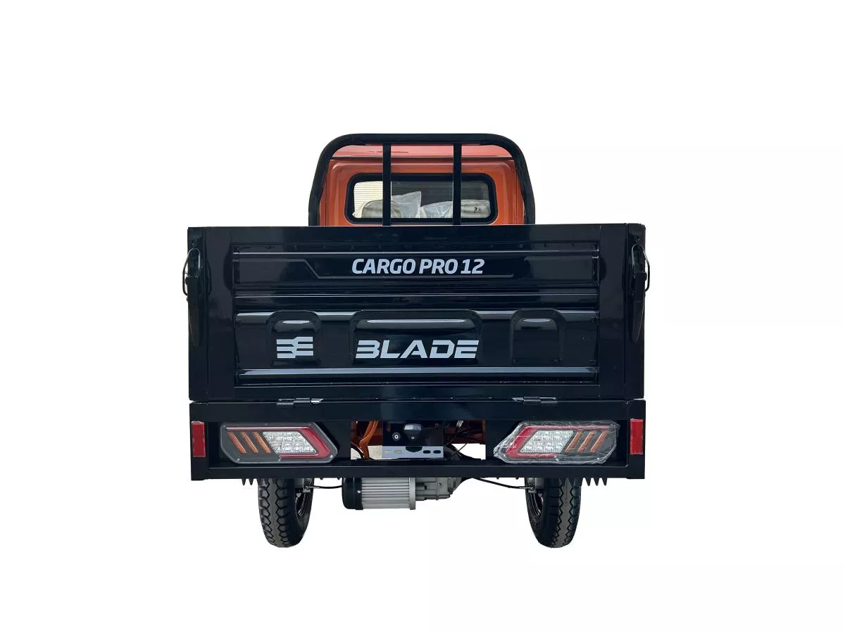 MASINA ELECTRICA/TRICICLU/CAVDRICLU PICKUP CARGO 3000, putere maxima 4900W - CARGO PRO 12 [3]