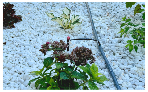 Microaspersor Reglabil cu Tija [2]