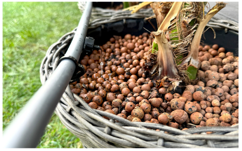 Picurator Tub Picurare 1001 - Debit 4 l/h [2]