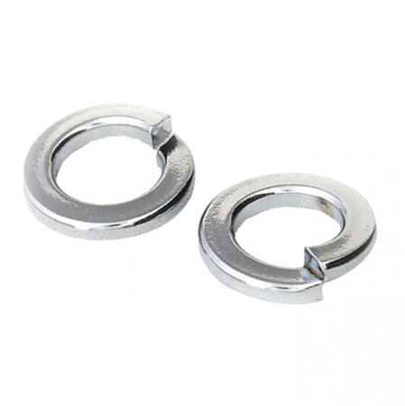 Saibe - Saiba Elastica Grower Zn DIN 127 P
