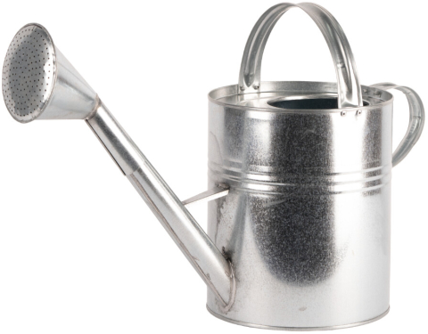 Stropitori - Stropitoare Zincata - Volum 10 l
