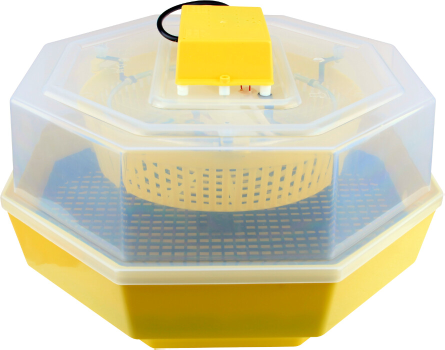IpeeATI Incubator Electric Cleo 5