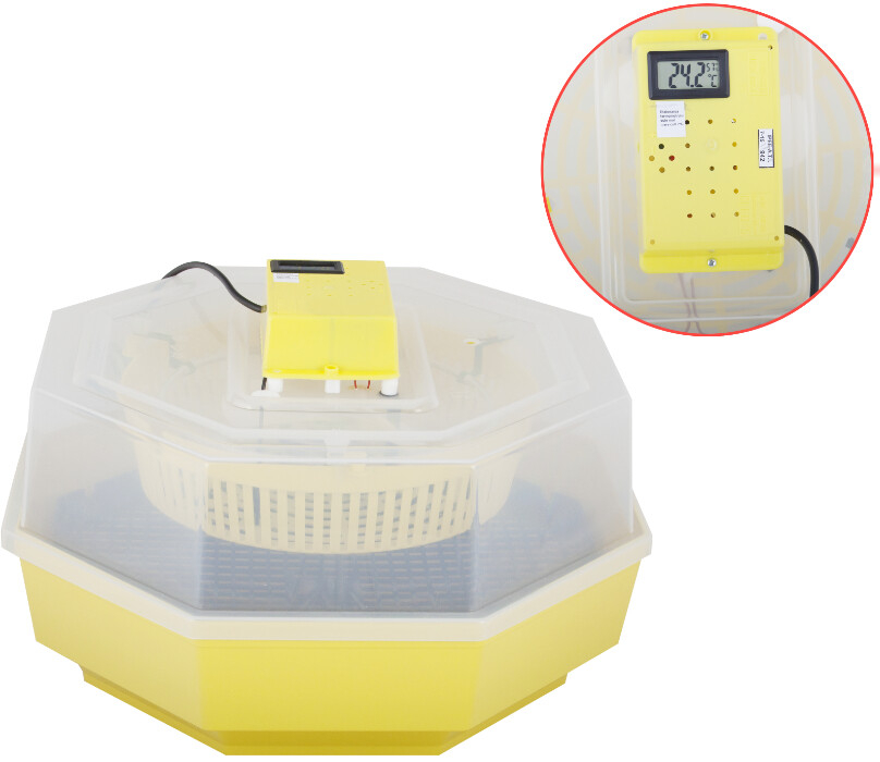 IpeeATI Incubator Electric Cleo-5 cu Termometru