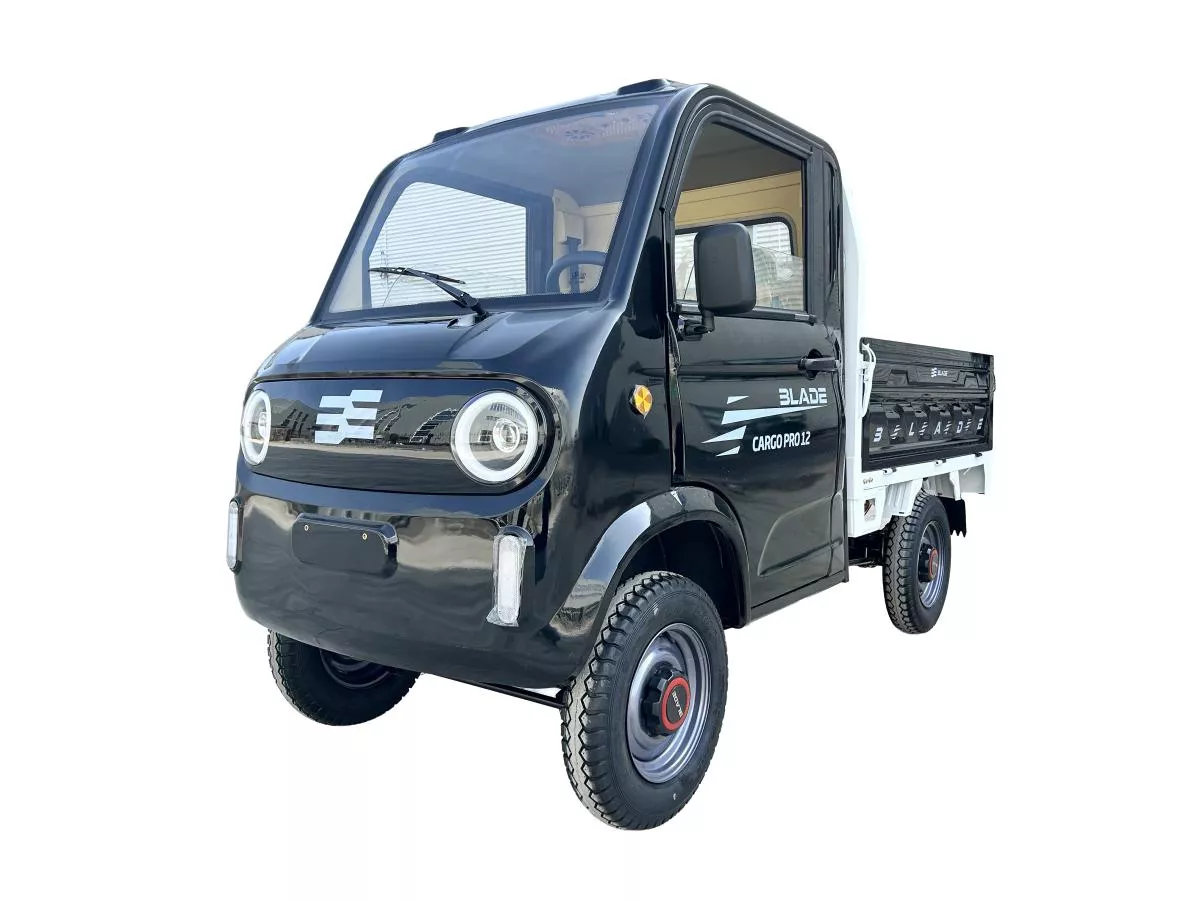 cargo dacă ploaia s ar opri MASINA ELECTRICA TRICICLU CAVDRICLU PICKUP CARGO 3000, putere maxima 4900W - CARGO PRO 12 Negru/Alb