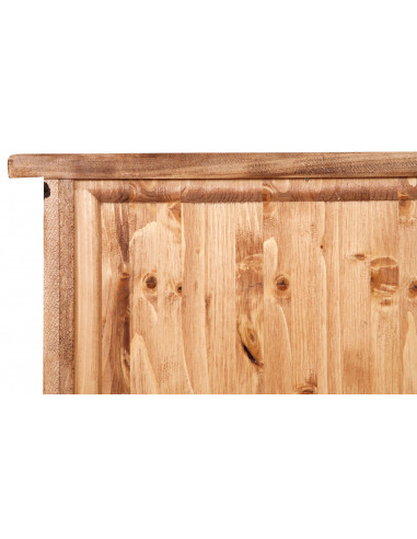 Dulap, L68*25*H98 cm, 2 usi, natur antic, lemn masiv [3]