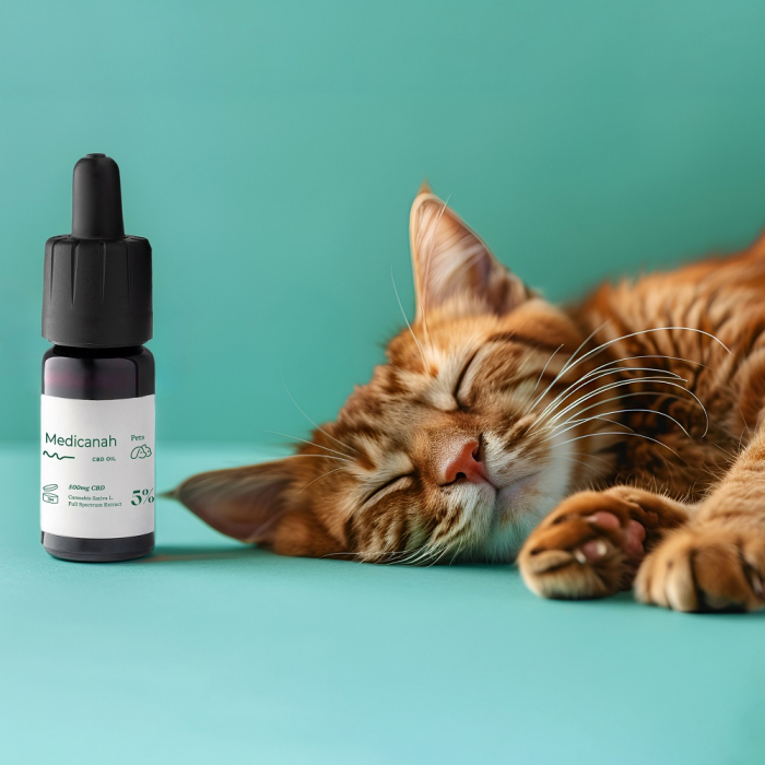 Ulei CBD 5%, 500mg, Caini si Pisici, Full Spectrum, Medicanah, Aroma Sunca, 10ml [2]