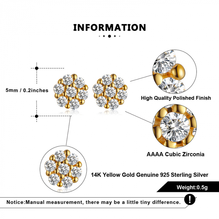 Cercei Una Vida Pure, Argint Placat cu Aur [2]