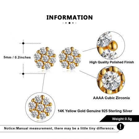 Cercei Una Vida Pure, Argint Placat cu Aur [1]