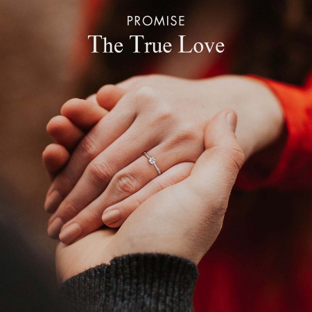 Inel de Logodna Una Vida Promise cu Moissanite, Argint 925 [2]