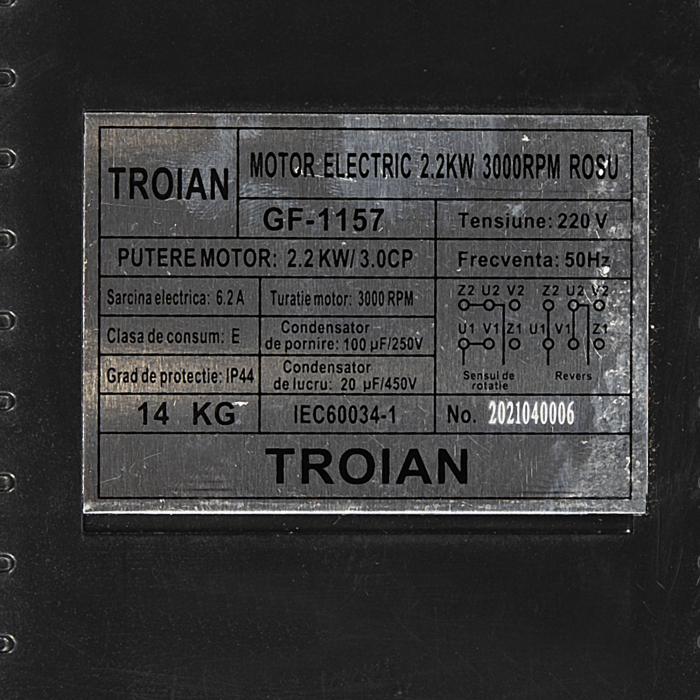 Motor electric 2.2 kw. 3000rpm. TROIAN ROSU [2]