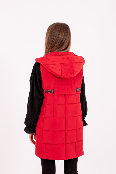 Vesta dama cu glugă 1888 este alegerea ideală pentru un stil modern și confortabil. [2]