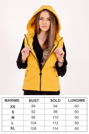 vesta este soluția ideală pentru un look urban în sezonul rece. [2]