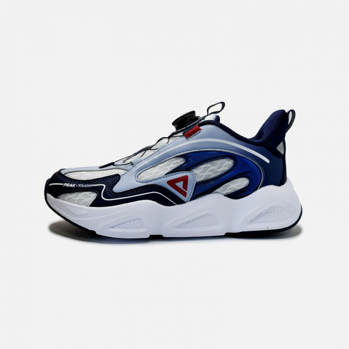 Pantofi sport Various 2.0 albastru/alb [4]
