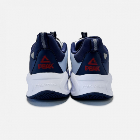 Pantofi sport Various 2.0 albastru/alb [2]