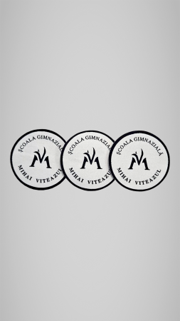 Școala Gimnazială Mihai Viteazul, Târgu-Mureș - Set 3 Logo scoala tesut Mihai Viteazul