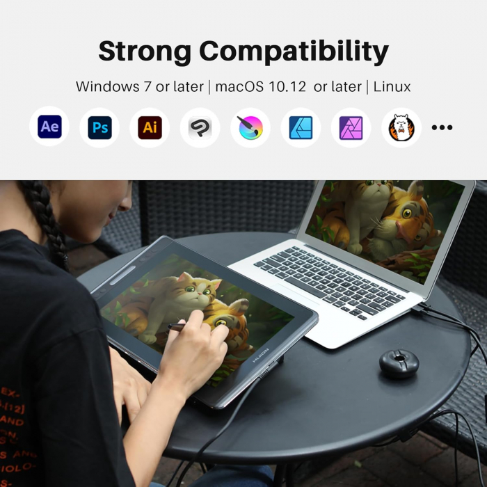 HUION Kamvas Pro 13 13.3 [8]