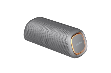 Boxe Portabile - Boxă portabilă Bluetooth LG XBOOM Go DXG5, gri