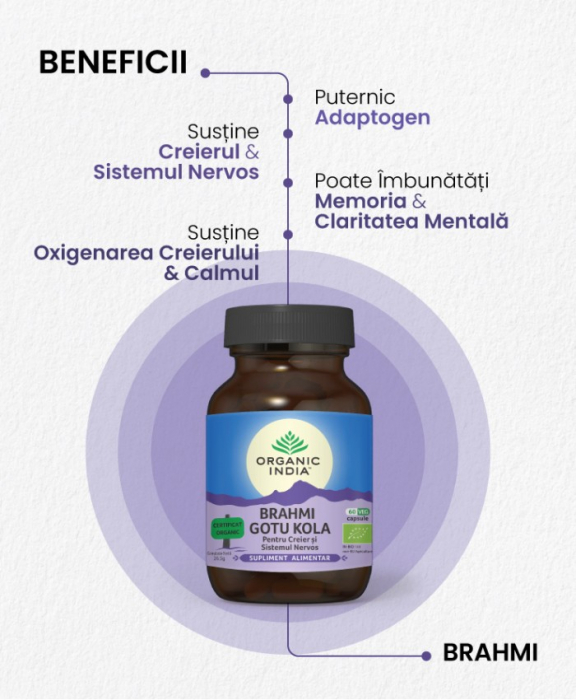 Organic India Brahmi Gotu Kola Pentru Creier Si Sistemul Nervos x 60 cps. vegetale [2]
