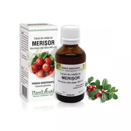 Gemoderivate - Extract Din Mladite De Merisor x 50 ml