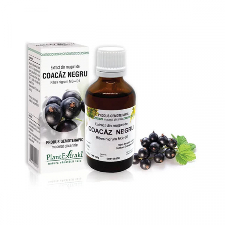 Gemoderivate - Extract Din Muguri De Coacaz Negru x 50 ml