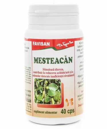 Vitamine si minerale - Favisan Mesteacan x 40 cps.