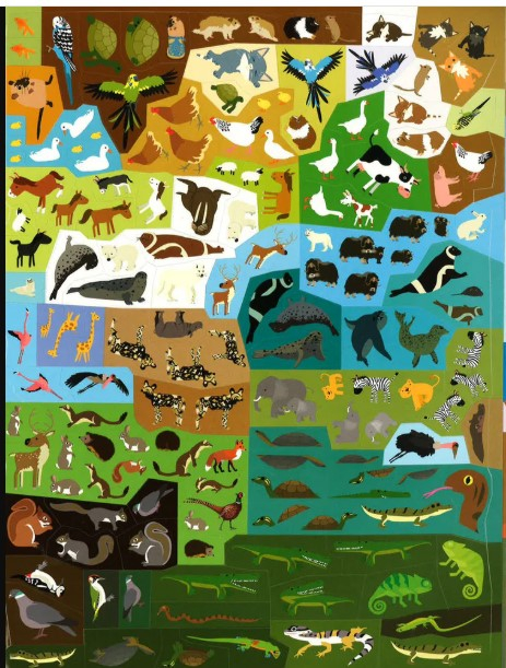 555 Sticker Fun Animals  [2]