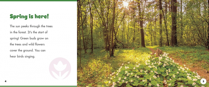 A year in the forest Anotimpuri in padure [4]