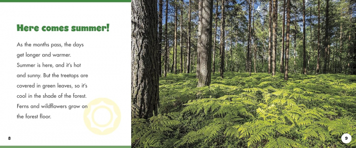 A year in the forest Anotimpuri in padure [2]