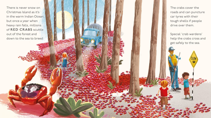 Amazing Animal Journeys [3]