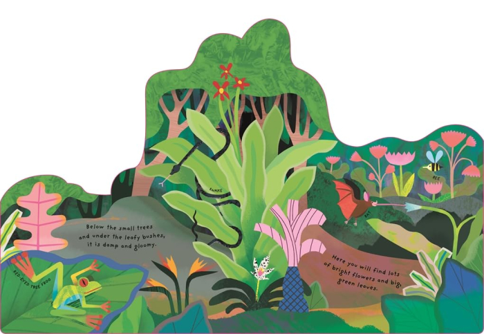 Animal Homes: Rainforest Board book [2]