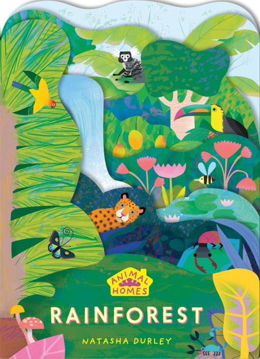 Animal Homes: Rainforest Board book [1]