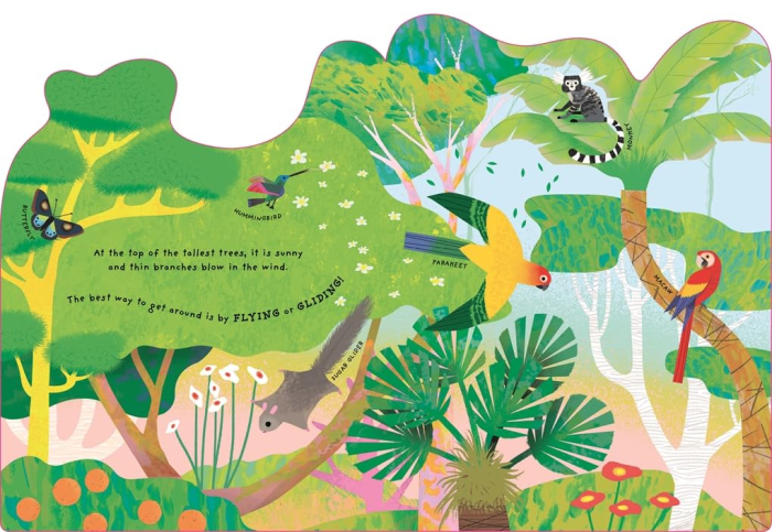 Animal Homes: Rainforest Board book [3]