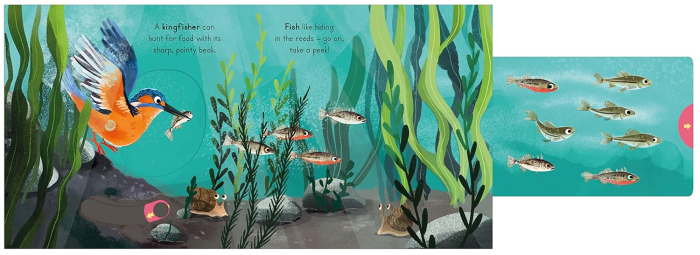 Carte cu glisor NT Big outdoors river [2]