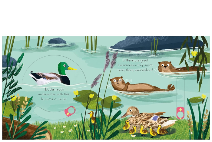 Carte cu glisor NT Big outdoors river [4]