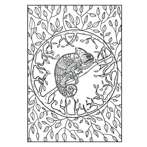 Carte de colorat de relaxare Peaceful Advanced Colouring Book [4]