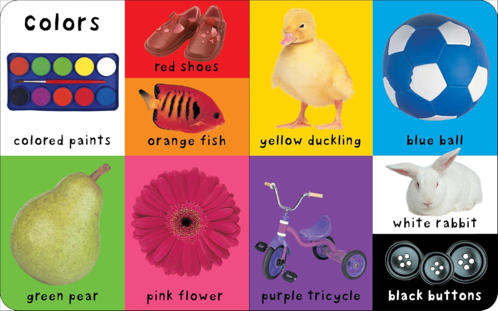 First 100 Words: A padded board book [2]