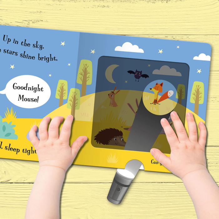 Goodnight Cat (Magic Torch Books) [4]