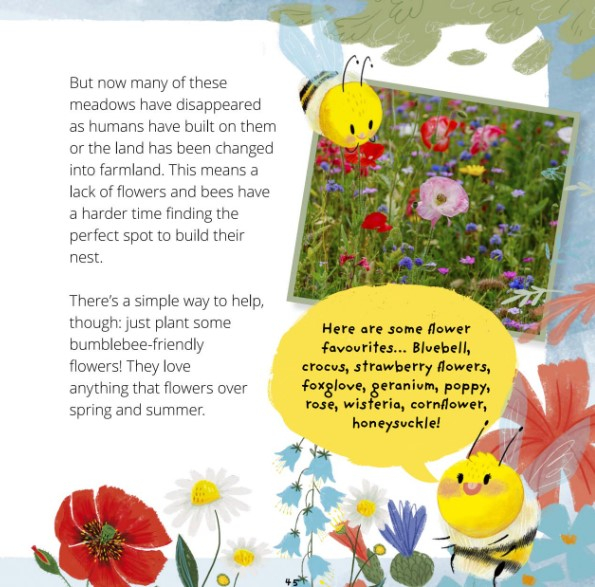 Little Bee: A Day in the Life of the Bee Brood (Really Wild Families) [3]