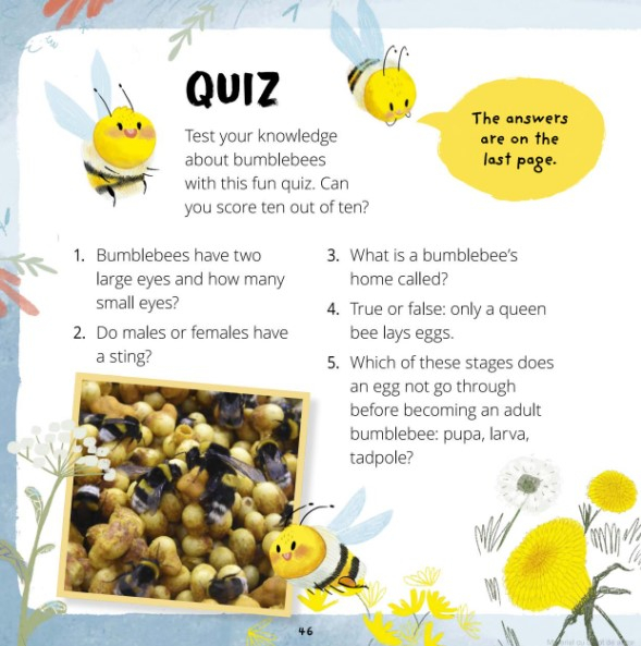 Little Bee: A Day in the Life of the Bee Brood (Really Wild Families) [6]