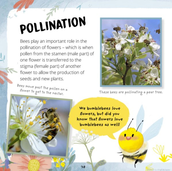 Little Bee: A Day in the Life of the Bee Brood (Really Wild Families) [4]